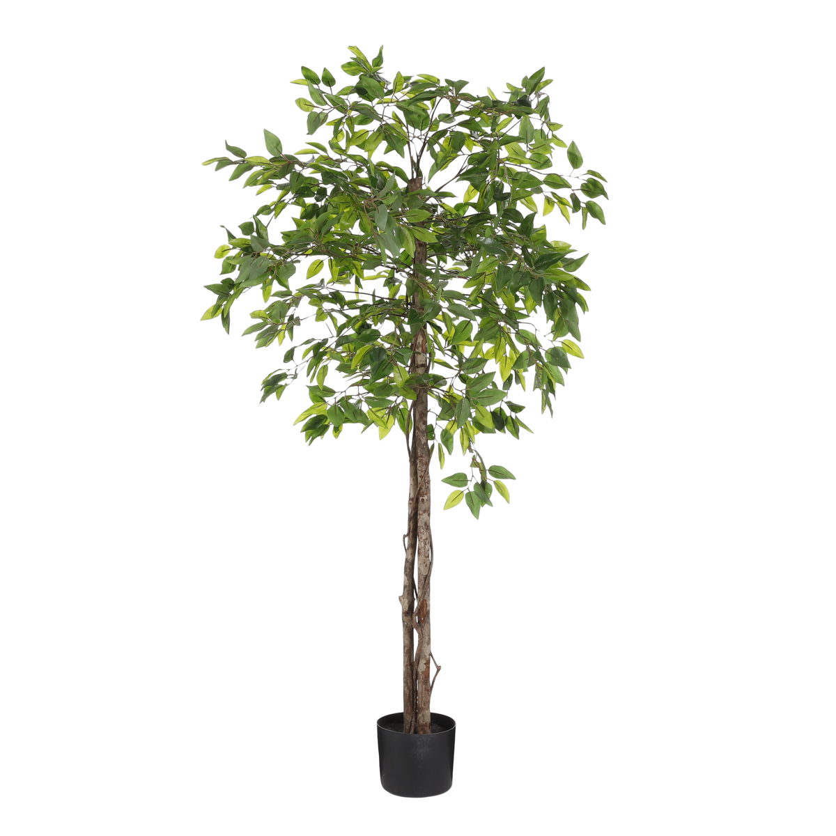 Ficus Kunstplant in Bloempot - H150 x Ø50 cm - Groen 